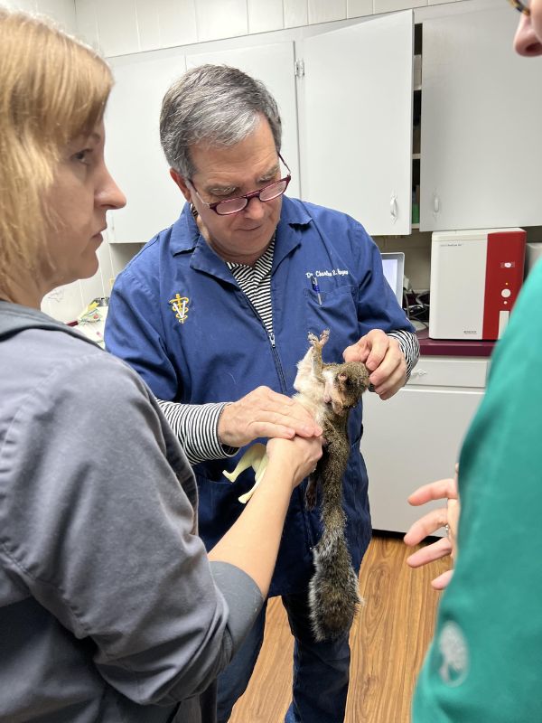 carousal-img1 Dr. Charles Hayes examining a pet