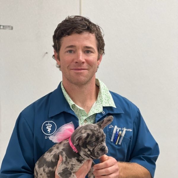 Dr. Steven Alexander<br />
