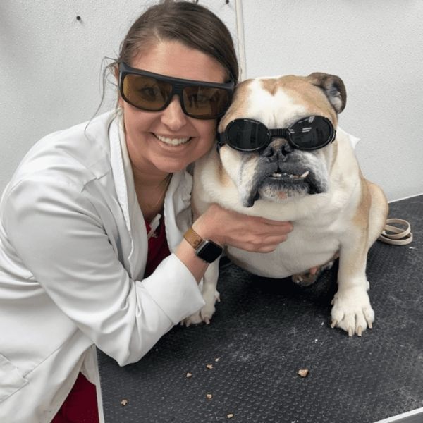 vet staff and dog wearing laser protection glasses